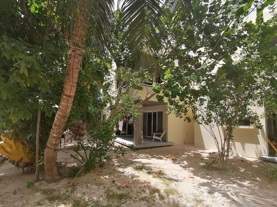 Marysol Great Views Beachfront Next To Nomads D3 Isla Mujeres Buitenkant foto