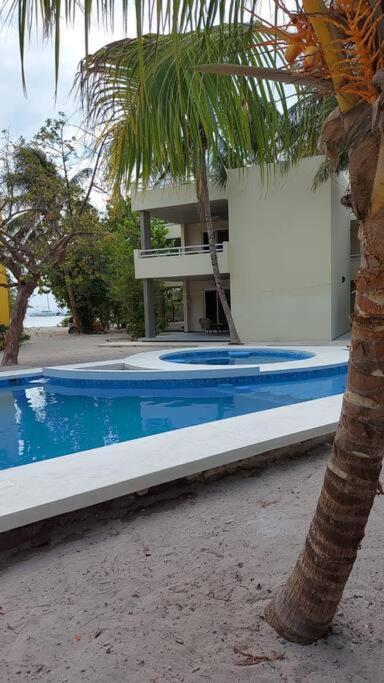 Marysol Great Views Beachfront Next To Nomads D3 Isla Mujeres Buitenkant foto