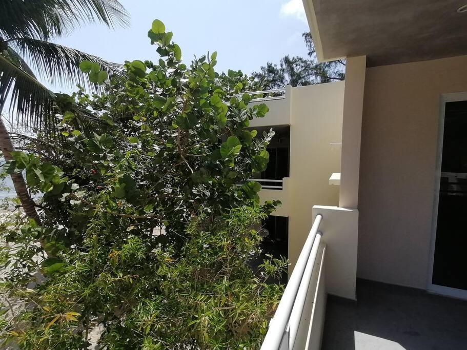 Marysol Great Views Beachfront Next To Nomads D3 Isla Mujeres Buitenkant foto