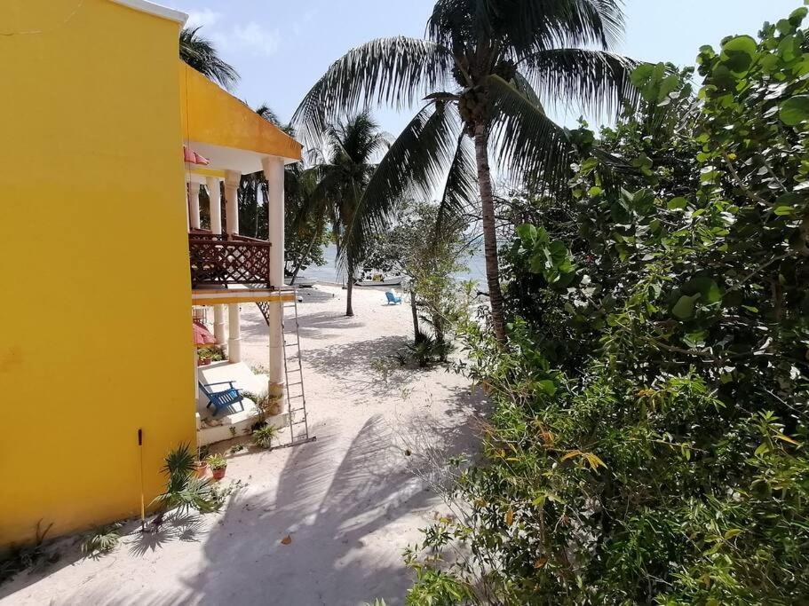 Marysol Great Views Beachfront Next To Nomads D3 Isla Mujeres Buitenkant foto