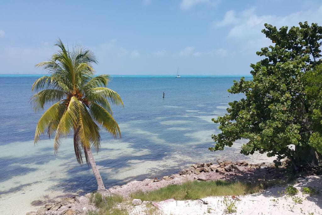 Marysol Great Views Beachfront Next To Nomads D3 Isla Mujeres Buitenkant foto
