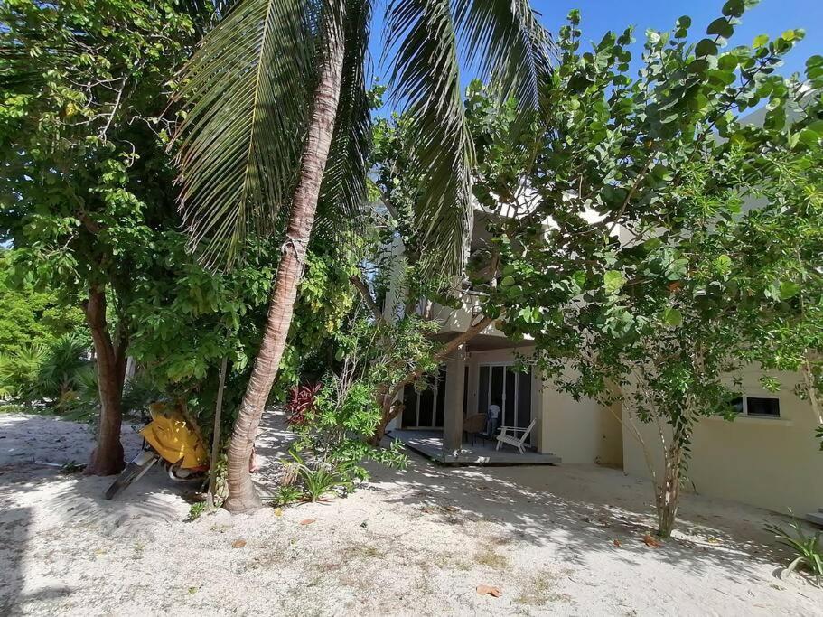 Marysol Great Views Beachfront Next To Nomads D3 Isla Mujeres Buitenkant foto