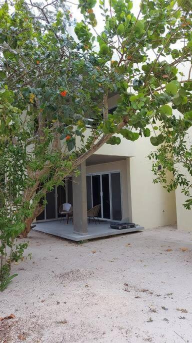 Marysol Great Views Beachfront Next To Nomads D3 Isla Mujeres Buitenkant foto